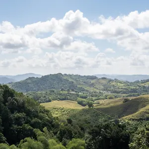 Hacienda Margarita , Barranquitas Puerto Rico